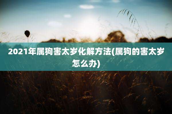 2021年属狗害太岁化解方法(属狗的害太岁怎么办)