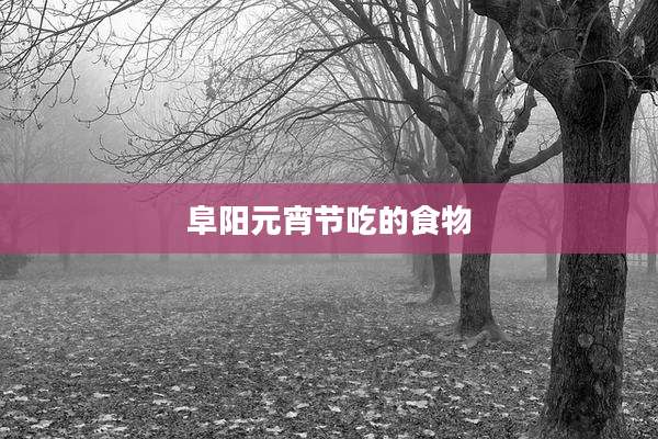 阜阳元宵节吃的食物