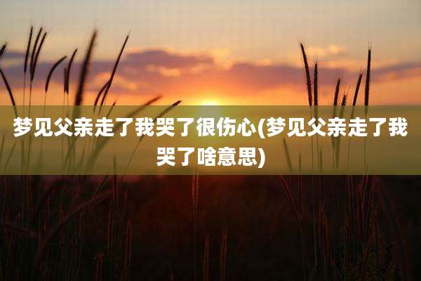 梦见父亲走了我哭了很伤心(梦见父亲走了我哭了啥意思)