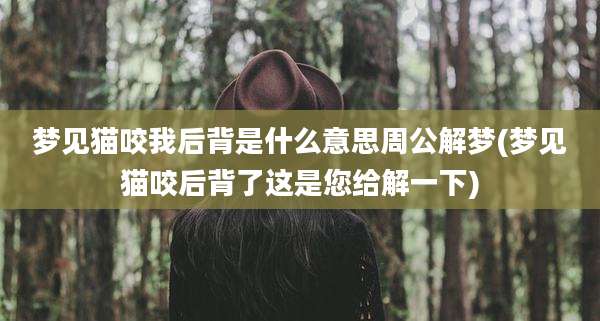 梦见猫咬我后背是什么意思周公解梦(梦见猫咬后背了这是您给解一下)