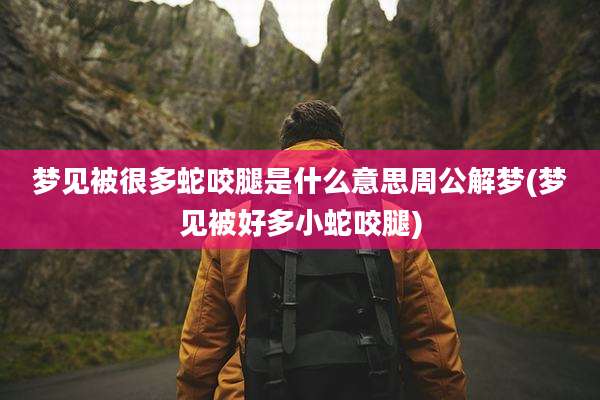 梦见被很多蛇咬腿是什么意思周公解梦(梦见被好多小蛇咬腿)