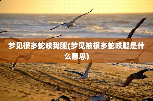 梦见很多蛇咬我腿(梦见被很多蛇咬腿是什么意思)