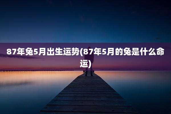 87年兔5月出生运势(87年5月的兔是什么命运)
