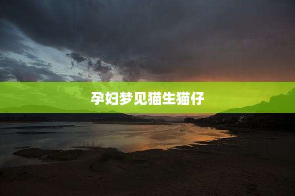 孕妇梦见猫生猫仔