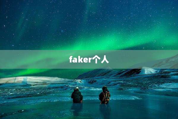 faker个人