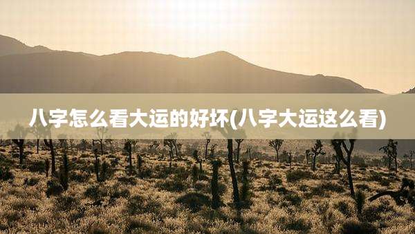 八字怎么看大运的好坏(八字大运这么看)