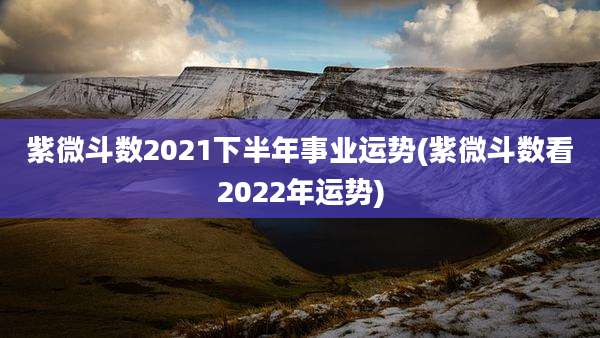 紫微斗数2021下半年事业运势(紫微斗数看2022年运势)