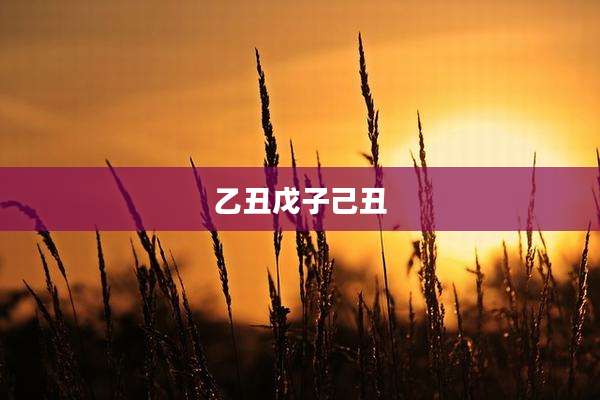 乙丑戊子己丑