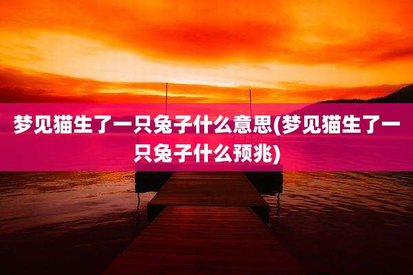 梦见猫生了一只兔子什么意思(梦见猫生了一只兔子什么预兆)