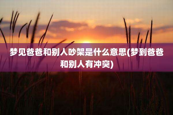 梦见爸爸和别人吵架是什么意思(梦到爸爸和别人有冲突)
