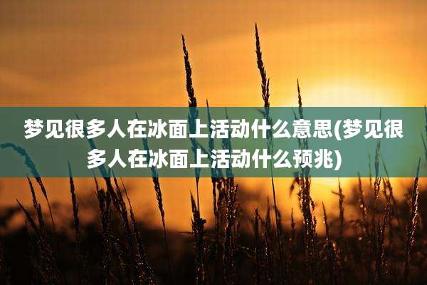梦见很多人在冰面上活动什么意思(梦见很多人在冰面上活动什么预兆)