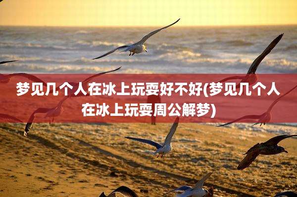 梦见几个人在冰上玩耍好不好(梦见几个人在冰上玩耍周公解梦)