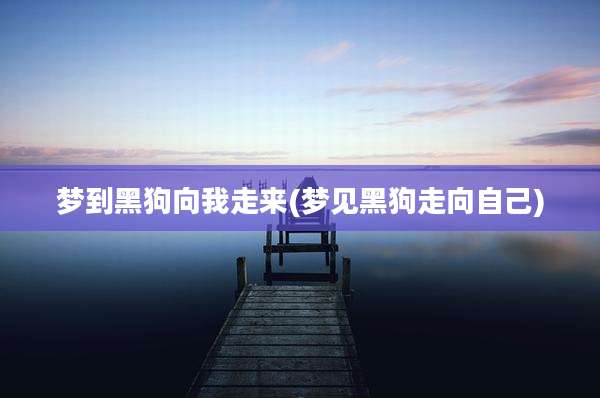梦到黑狗向我走来(梦见黑狗走向自己)