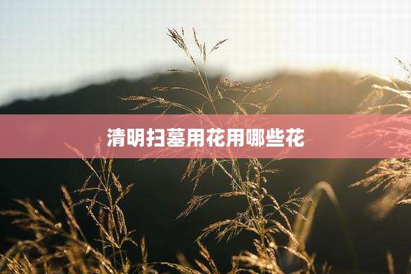 清明扫墓用花用哪些花