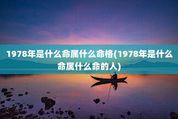 1978年是什么命属什么命格(1978年是什么命属什么命的人)