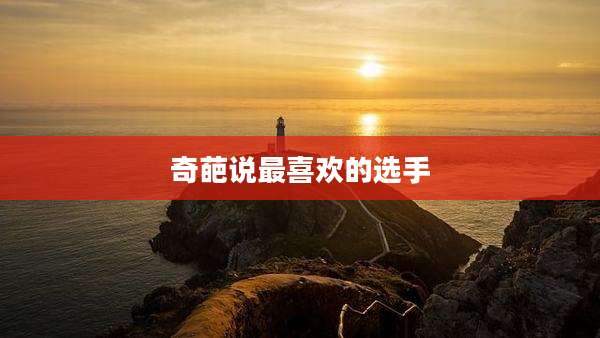 奇葩说最喜欢的选手