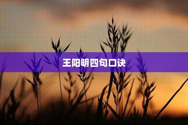 王阳明四句口诀