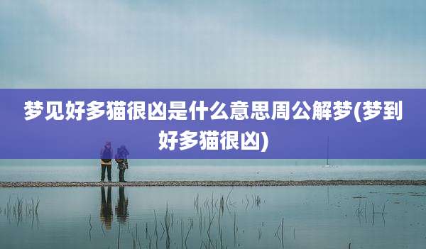 梦见好多猫很凶是什么意思周公解梦(梦到好多猫很凶)