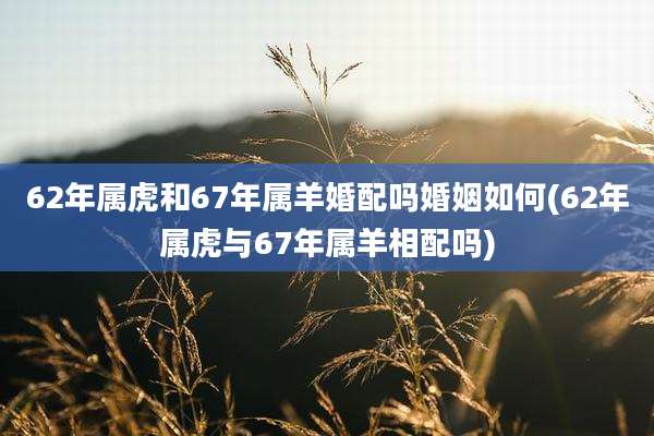 62年属虎和67年属羊婚配吗婚姻如何(62年属虎与67年属羊相配吗)