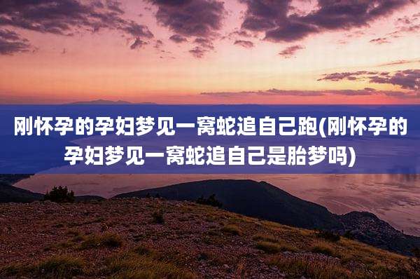 刚怀孕的孕妇梦见一窝蛇追自己跑(刚怀孕的孕妇梦见一窝蛇追自己是胎梦吗)