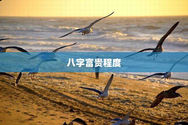八字富贵程度