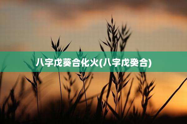 八字戊葵合化火(八字戊癸合)