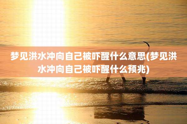 梦见洪水冲向自己被吓醒什么意思(梦见洪水冲向自己被吓醒什么预兆)
