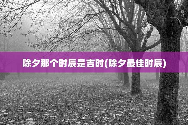 除夕那个时辰是吉时(除夕最佳时辰)