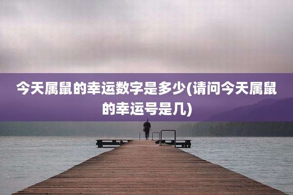 今天属鼠的幸运数字是多少(请问今天属鼠的幸运号是几)