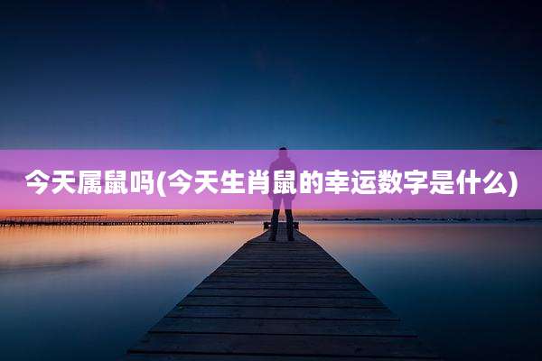 今天属鼠吗(今天生肖鼠的幸运数字是什么)