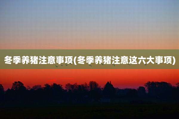 冬季养猪注意事项(冬季养猪注意这六大事项)