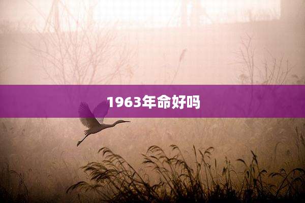 1963年命好吗