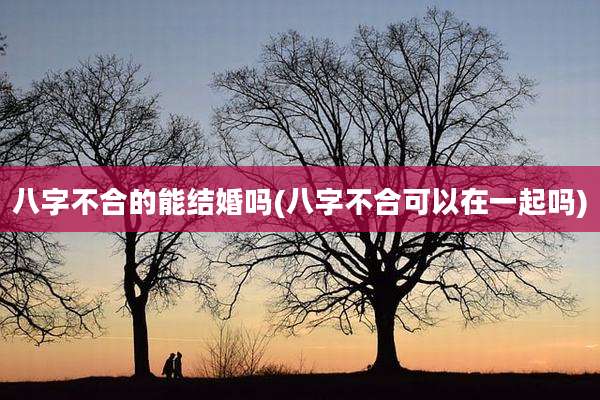 八字不合的能结婚吗(八字不合可以在一起吗)