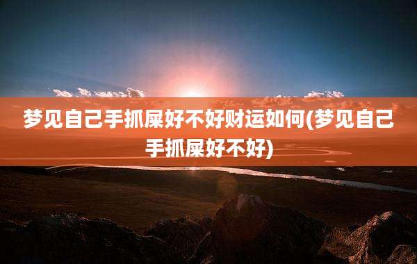 梦见自己手抓屎好不好财运如何(梦见自己手抓屎好不好)