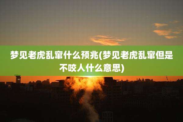 梦见老虎乱窜什么预兆(梦见老虎乱窜但是不咬人什么意思)