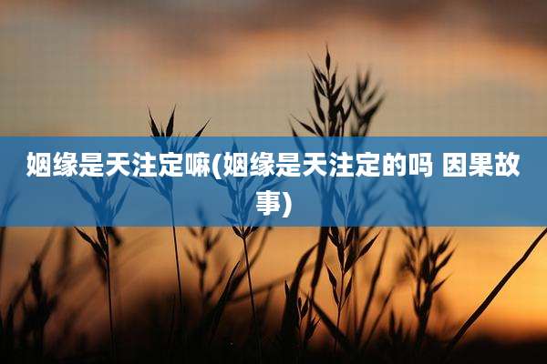 姻缘是天注定嘛(姻缘是天注定的吗 因果故事)