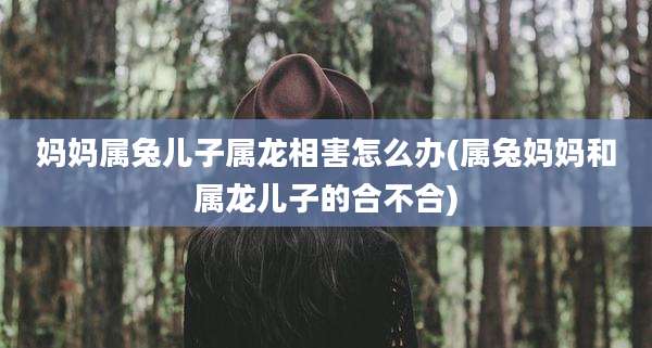 妈妈属兔儿子属龙相害怎么办(属兔妈妈和属龙儿子的合不合)