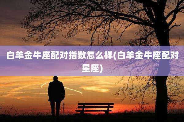 白羊金牛座配对指数怎么样(白羊金牛座配对星座)