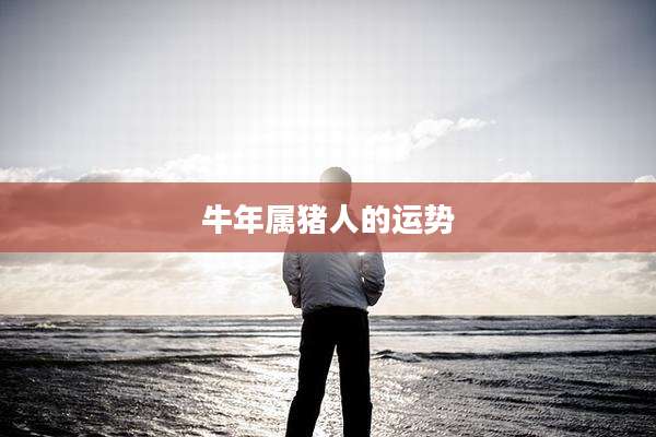 牛年属猪人的运势