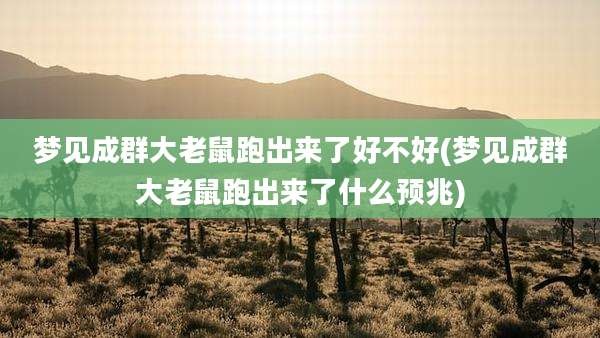 梦见成群大老鼠跑出来了好不好(梦见成群大老鼠跑出来了什么预兆)