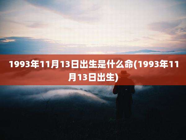 1993年11月13日出生是什么命(1993年11月13日出生)