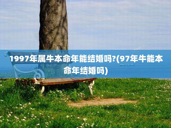 1997年属牛本命年能结婚吗?(97年牛能本命年结婚吗)