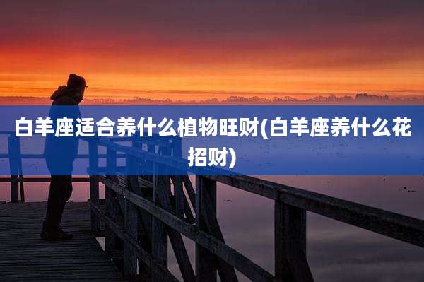 白羊座适合养什么植物旺财(白羊座养什么花招财)