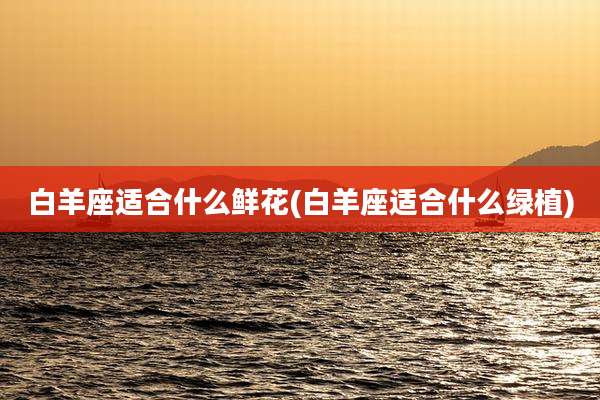 白羊座适合什么鲜花(白羊座适合什么绿植)