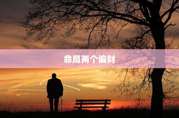 命局两个偏财