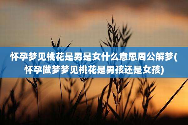 怀孕梦见桃花是男是女什么意思周公解梦(怀孕做梦梦见桃花是男孩还是女孩)