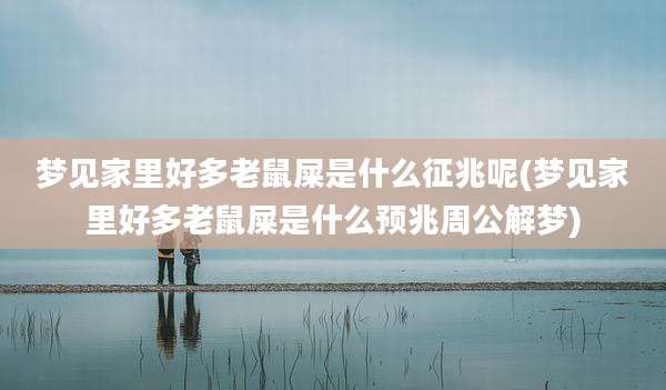 梦见家里好多老鼠屎是什么征兆呢(梦见家里好多老鼠屎是什么预兆周公解梦)