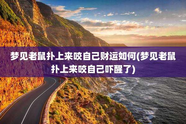 梦见老鼠扑上来咬自己财运如何(梦见老鼠扑上来咬自己吓醒了)