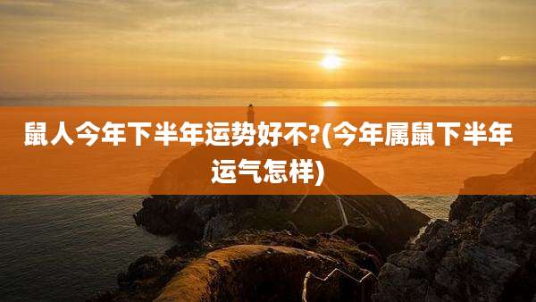 鼠人今年下半年运势好不?(今年属鼠下半年运气怎样)