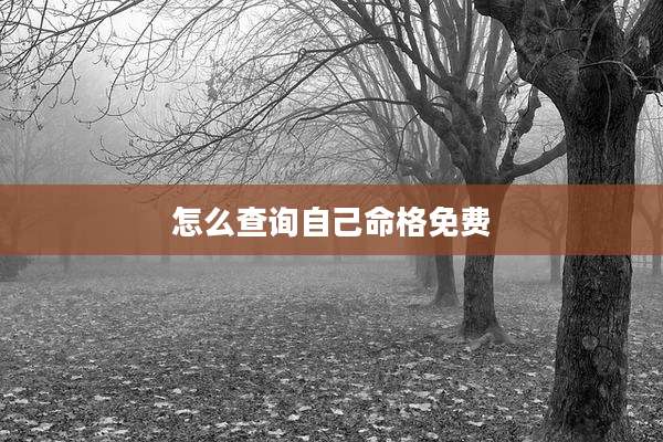 怎么查询自己命格免费